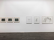 Ausstellungsräume