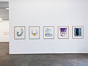 Ausstellungsräume