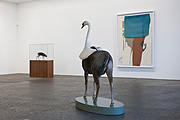 Ausstellungsräume