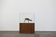 Ausstellungsräume