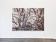 Ausstellungsräume