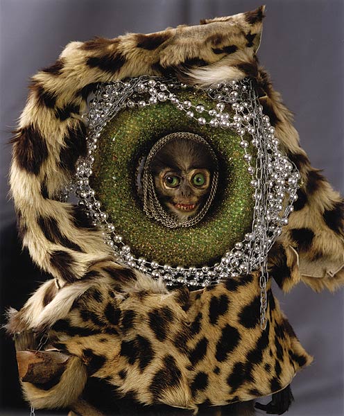 Affe mit Schmuck