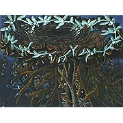 Nest in einem Baum