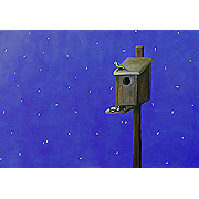 Vogelhäuschen