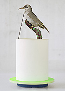 ausgestopfter Vogel auf einem hohen Objekt