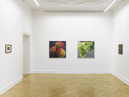 Galerie Friese